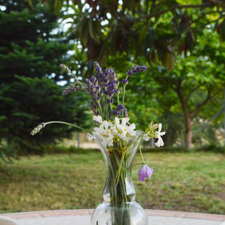 Sunny Retreat With A Garden Terrace Private Room يانينة المظهر الخارجي الصورة