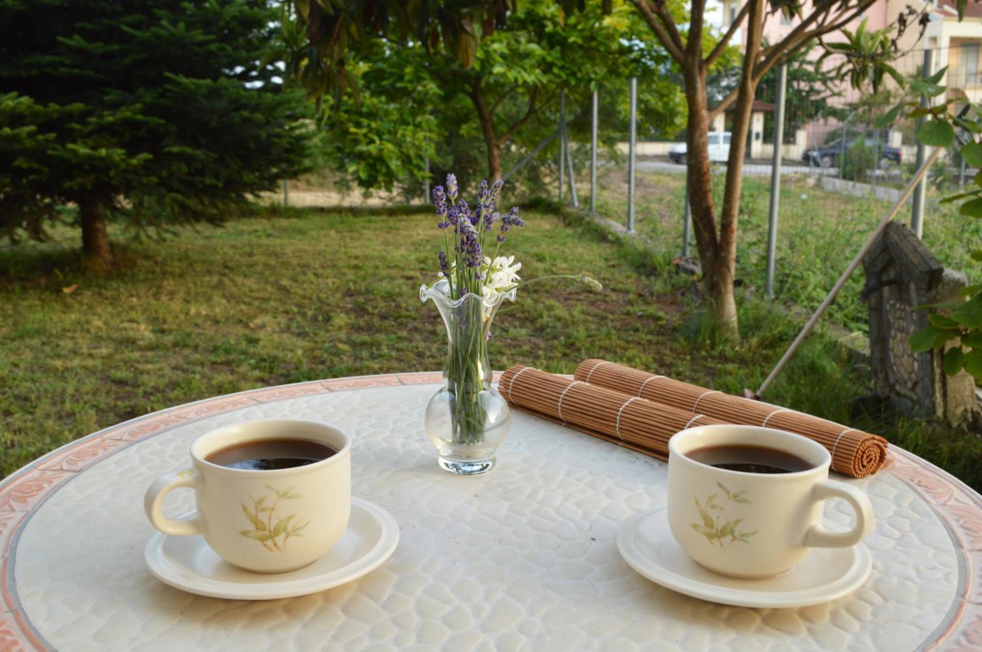 Sunny Retreat With A Garden Terrace Private Room يانينة المظهر الخارجي الصورة